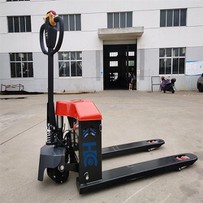 Gå-bag den elektriske pallestik